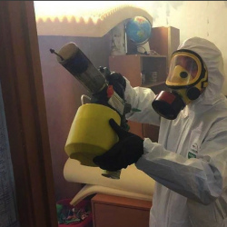 Уничтожение клопов в квартире. Южное Тушино 